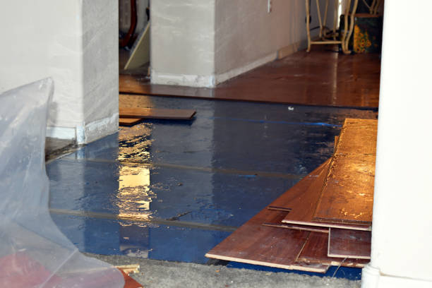 Professional Basement Water Removal technician working in Saint Thomas, MO